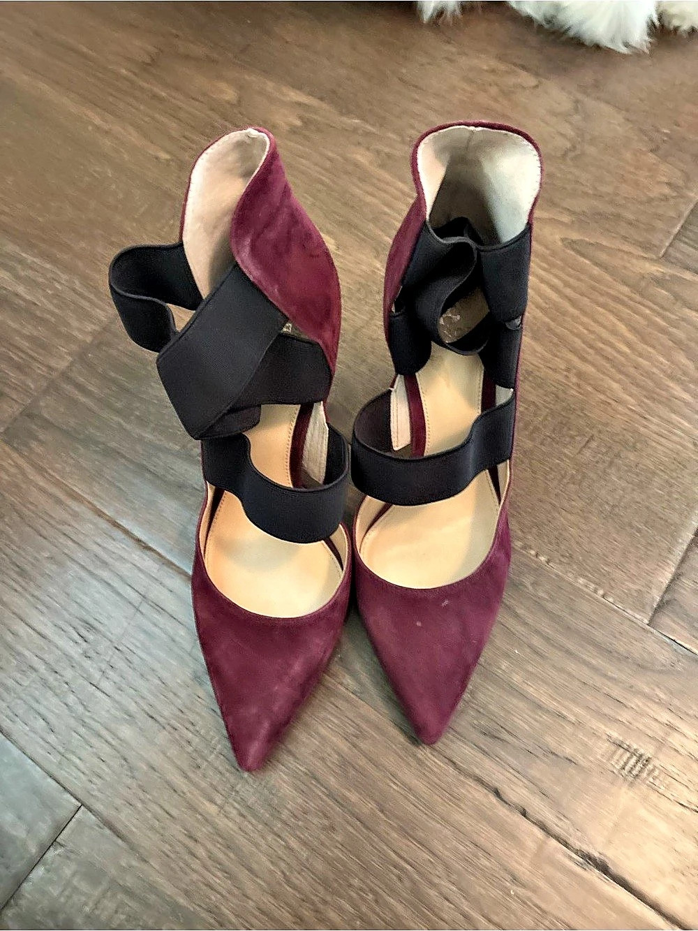 Vince Camuto Marsia Pump Pointed Toe Heels Purple & Black